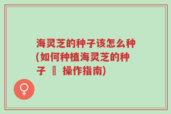 海灵芝的种子该怎么种(如何种植海灵芝的种子 – 操作指南)-第1张图片-超越 海灵芝的种子该怎么种(如何种植海灵芝的种子 – 操作指南)-第1张图片-超越