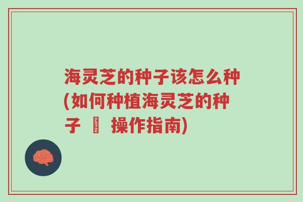 海灵芝的种子该怎么种(如何种植海灵芝的种子 – 操作指南)-第1张图片-超越 海灵芝的种子该怎么种(如何种植海灵芝的种子 – 操作指南)-第1张图片-超越