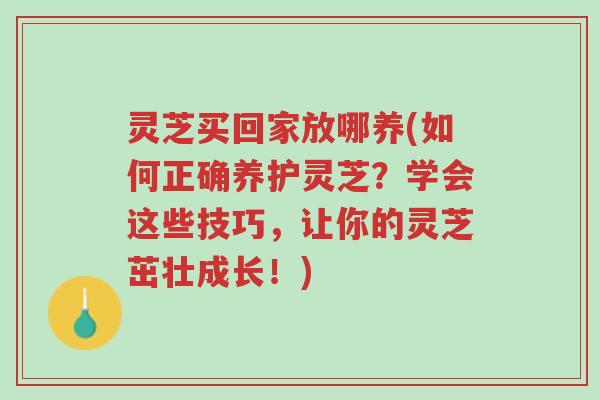 灵芝买回家放哪养(如何正确养护灵芝?学会这些技巧,让你的灵芝茁壮成长!)-第1张图片-超越 灵芝买回家放哪养(如何正确养护灵芝?学会这些技巧,让你的灵芝茁壮成长!)-第1张图片-超越