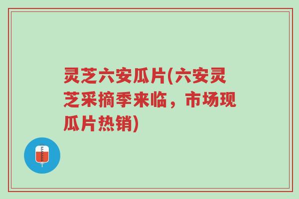 灵芝六安瓜片(六安灵芝采摘季来临，市场现瓜片热销)-第1张图片-超越