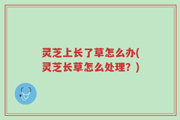 灵芝上长了草怎么办(灵芝长草怎么处理?)-第1张图片-超越 灵芝上长了草怎么办(灵芝长草怎么处理?)-第1张图片-超越
