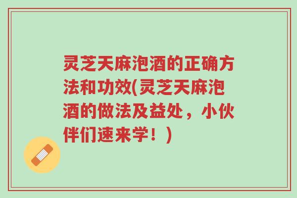 灵芝天麻泡酒的正确方法和功效(灵芝天麻泡酒的做法及益处，小伙伴们速来学！)-第1张图片-超越