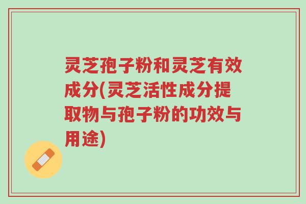 灵芝孢子粉和灵芝有效成分(灵芝活性成分提取物与孢子粉的功效与用途)-第1张图片-超越 灵芝孢子粉和灵芝有效成分(灵芝活性成分提取物与孢子粉的功效与用途)-第1张图片-超越