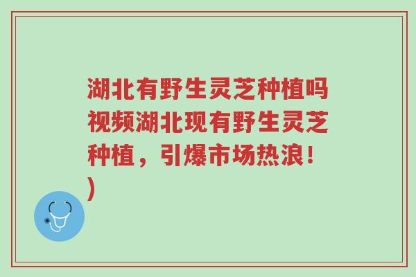 湖北有野生灵芝种植吗视频湖北现有野生灵芝种植,引爆市场热浪!)-第1张图片-超越 湖北有野生灵芝种植吗视频湖北现有野生灵芝种植,引爆市场热浪!)-第1张图片-超越