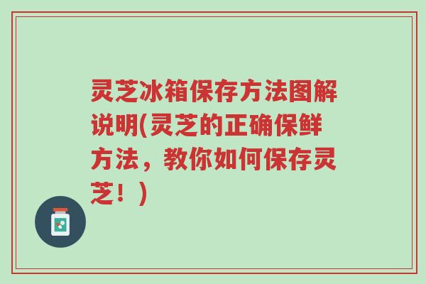 灵芝冰箱保存方法图解说明(灵芝的正确保鲜方法,教你如何保存灵芝!)-第1张图片-超越 灵芝冰箱保存方法图解说明(灵芝的正确保鲜方法,教你如何保存灵芝!)-第1张图片-超越
