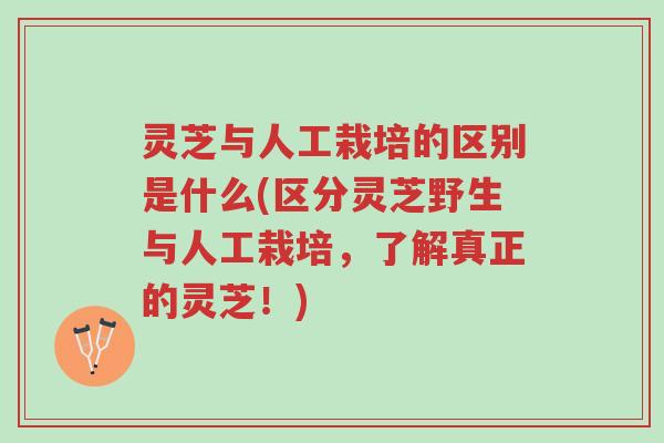 灵芝与人工栽培的区别是什么(区分灵芝野生与人工栽培，了解真正的灵芝！)-第1张图片-超越