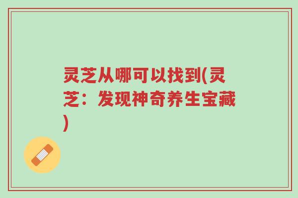 灵芝从哪可以找到(灵芝:发现神奇养生宝藏)-第1张图片-超越 灵芝从哪可以找到(灵芝:发现神奇养生宝藏)-第1张图片-超越