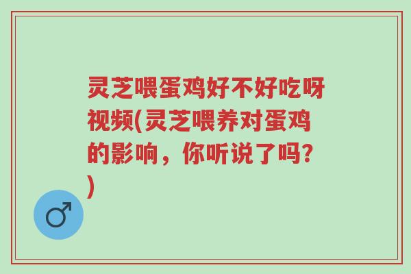 灵芝喂蛋鸡好不好吃呀视频(灵芝喂养对蛋鸡的影响,你听说了吗?)-第1张图片-超越 灵芝喂蛋鸡好不好吃呀视频(灵芝喂养对蛋鸡的影响,你听说了吗?)-第1张图片-超越