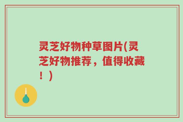 灵芝好物种草图片(灵芝好物推荐,值得收藏!)-第1张图片-超越 灵芝好物种草图片(灵芝好物推荐,值得收藏!)-第1张图片-超越