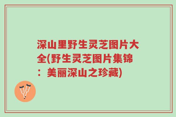 深山里野生灵芝图片大全(野生灵芝图片集锦:美丽深山之珍藏)-第1张图片-超越 深山里野生灵芝图片大全(野生灵芝图片集锦:美丽深山之珍藏)-第1张图片-超越