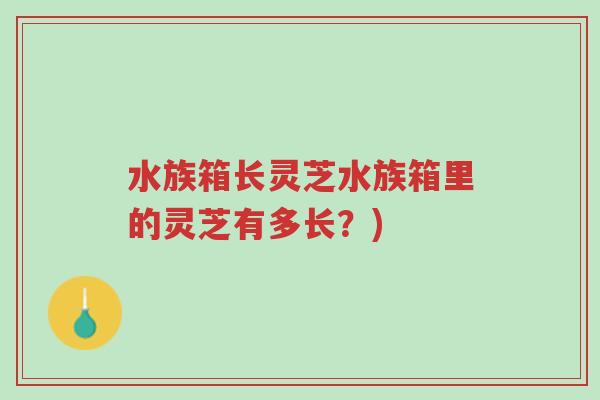 水族箱长灵芝水族箱里的灵芝有多长？)-第1张图片-超越