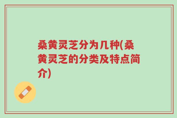 桑黄灵芝分为几种(桑黄灵芝的分类及特点简介)-第1张图片-超越 桑黄灵芝分为几种(桑黄灵芝的分类及特点简介)-第1张图片-超越
