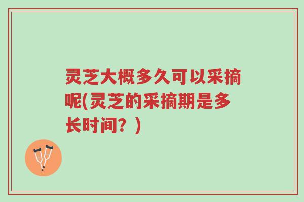 灵芝大概多久可以采摘呢(灵芝的采摘期是多长时间?)-第1张图片-超越 灵芝大概多久可以采摘呢(灵芝的采摘期是多长时间?)-第1张图片-超越