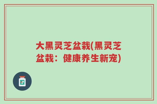 大黑灵芝盆栽(黑灵芝盆栽:健康养生新宠)-第1张图片-超越 大黑灵芝盆栽(黑灵芝盆栽:健康养生新宠)-第1张图片-超越