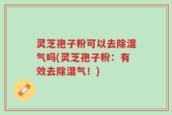 灵芝孢子粉可以去除湿气吗(灵芝孢子粉：有效去除湿气！)-第1张图片-超越