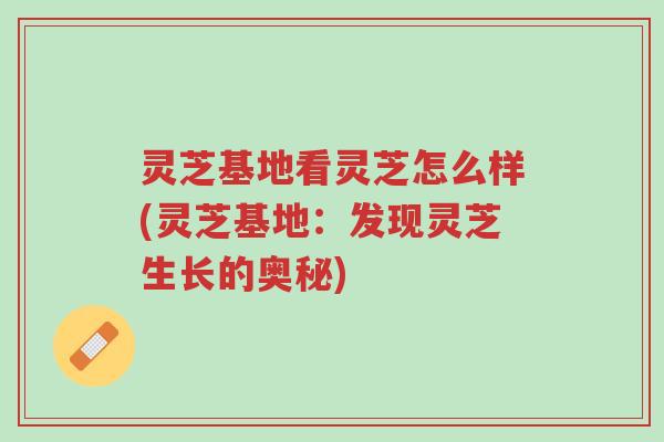 灵芝基地看灵芝怎么样(灵芝基地:发现灵芝生长的奥秘)-第1张图片-超越 灵芝基地看灵芝怎么样(灵芝基地:发现灵芝生长的奥秘)-第1张图片-超越