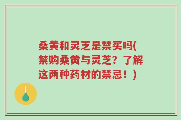 桑黄和灵芝是禁买吗(禁购桑黄与灵芝?了解这两种药材的禁忌!)-第1张图片-超越 桑黄和灵芝是禁买吗(禁购桑黄与灵芝?了解这两种药材的禁忌!)-第1张图片-超越