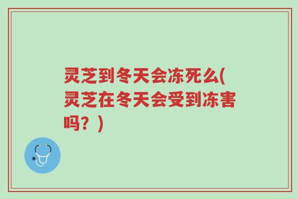 灵芝到冬天会冻死么(灵芝在冬天会受到冻害吗？)-第1张图片-超越