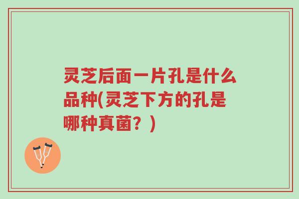 灵芝后面一片孔是什么品种(灵芝下方的孔是哪种真菌?)-第1张图片-超越 灵芝后面一片孔是什么品种(灵芝下方的孔是哪种真菌?)-第1张图片-超越