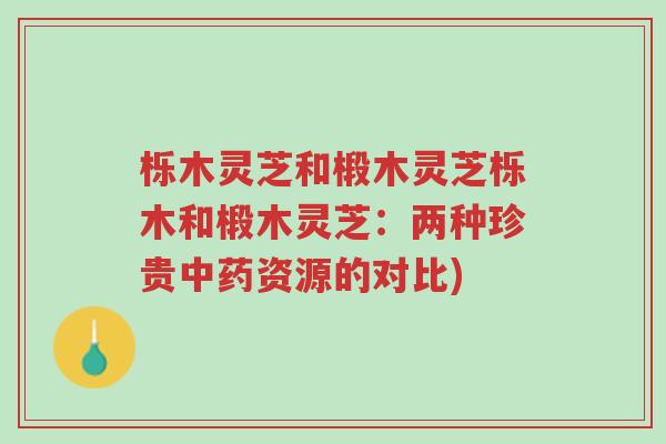 栎木灵芝和椴木灵芝栎木和椴木灵芝:两种珍贵中药资源的对比)-第1张图片-超越 栎木灵芝和椴木灵芝栎木和椴木灵芝:两种珍贵中药资源的对比)-第1张图片-超越