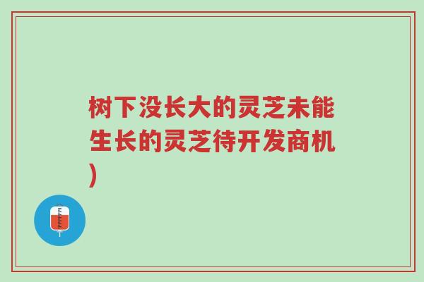 树下没长大的灵芝未能生长的灵芝待开发商机)-第1张图片-超越 树下没长大的灵芝未能生长的灵芝待开发商机)-第1张图片-超越