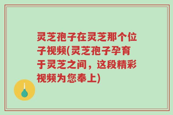 灵芝孢子在灵芝那个位子视频(灵芝孢子孕育于灵芝之间,这段精彩视频为您奉上)-第1张图片-超越 灵芝孢子在灵芝那个位子视频(灵芝孢子孕育于灵芝之间,这段精彩视频为您奉上)-第1张图片-超越