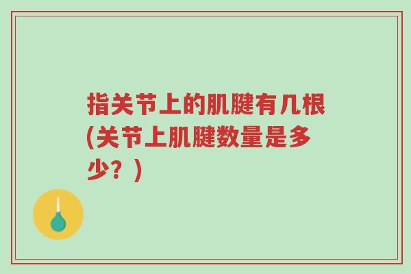 指关节上的肌腱有几根(关节上肌腱数量是多少？)-第1张图片-超越