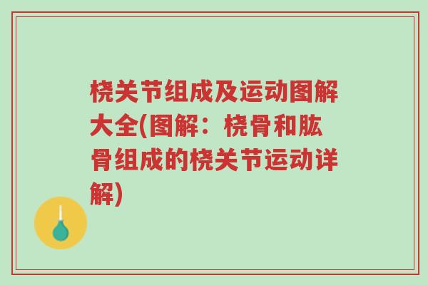 桡关节组成及运动图解大全(图解:桡骨和肱骨组成的桡关节运动详解)-第1张图片-超越 桡关节组成及运动图解大全(图解:桡骨和肱骨组成的桡关节运动详解)-第1张图片-超越