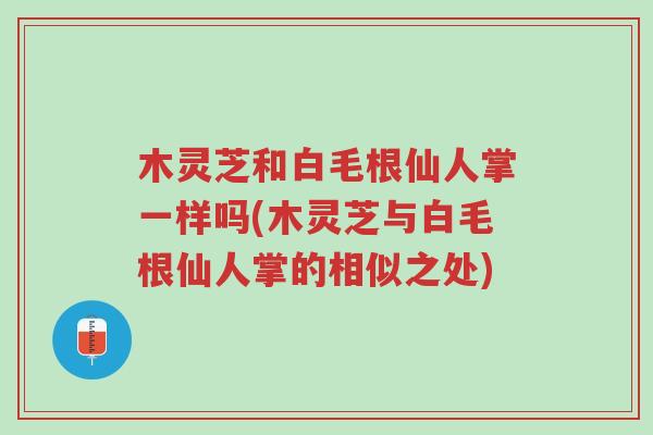 木灵芝和白毛根仙人掌一样吗(木灵芝与白毛根仙人掌的相似之处)-第1张图片-超越 木灵芝和白毛根仙人掌一样吗(木灵芝与白毛根仙人掌的相似之处)-第1张图片-超越