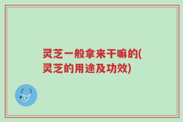 灵芝一般拿来干嘛的(灵芝的用途及功效)-第1张图片-超越