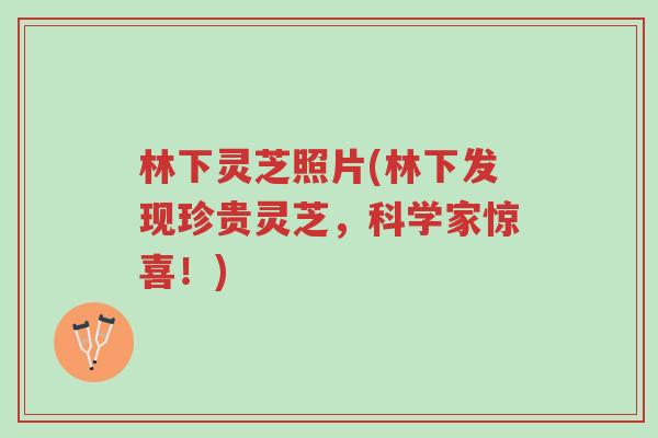 林下灵芝照片(林下发现珍贵灵芝,科学家惊喜!)-第1张图片-超越 林下灵芝照片(林下发现珍贵灵芝,科学家惊喜!)-第1张图片-超越