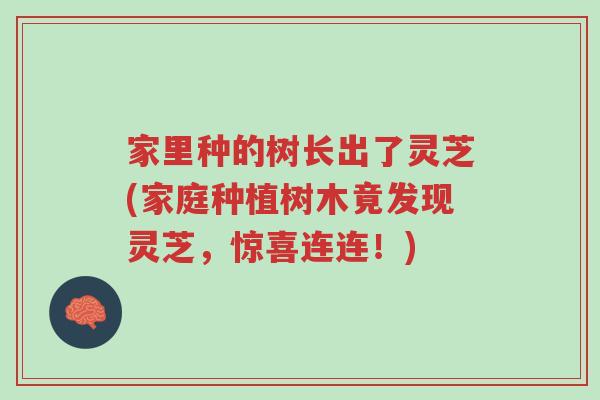 家里种的树长出了灵芝(家庭种植树木竟发现灵芝,惊喜连连!)-第1张图片-超越 家里种的树长出了灵芝(家庭种植树木竟发现灵芝,惊喜连连!)-第1张图片-超越