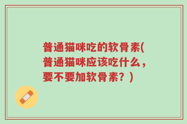 普通猫咪吃的软骨素(普通猫咪应该吃什么,要不要加软骨素?)-第1张图片-超越 普通猫咪吃的软骨素(普通猫咪应该吃什么,要不要加软骨素?)-第1张图片-超越