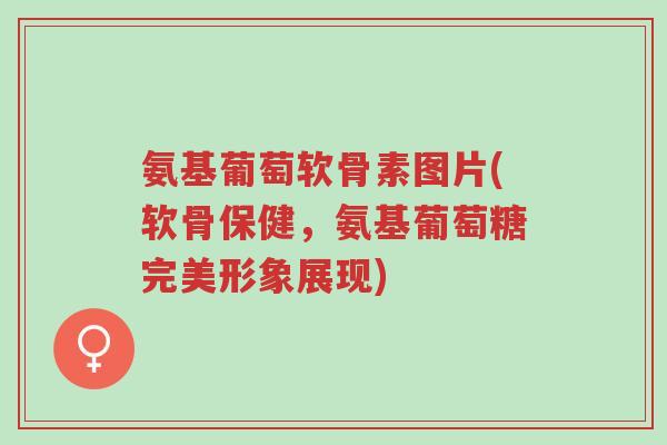 氨基葡萄软骨素图片(软骨保健,氨基葡萄糖完美形象展现)-第1张图片-超越 氨基葡萄软骨素图片(软骨保健,氨基葡萄糖完美形象展现)-第1张图片-超越