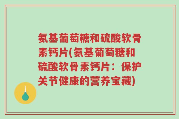 氨基葡萄糖和硫酸软骨素钙片(氨基葡萄糖和硫酸软骨素钙片:保护关节健康的营养宝藏)-第1张图片-超越 氨基葡萄糖和硫酸软骨素钙片(氨基葡萄糖和硫酸软骨素钙片:保护关节健康的营养宝藏)-第1张图片-超越