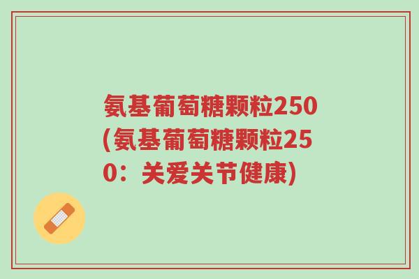 氨基葡萄糖颗粒250(氨基葡萄糖颗粒250:关爱关节健康)-第1张图片-超越 氨基葡萄糖颗粒250(氨基葡萄糖颗粒250:关爱关节健康)-第1张图片-超越