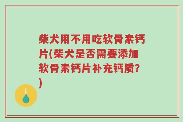 柴犬用不用吃软骨素钙片(柴犬是否需要添加软骨素钙片补充钙质?)-第1张图片-超越 柴犬用不用吃软骨素钙片(柴犬是否需要添加软骨素钙片补充钙质?)-第1张图片-超越