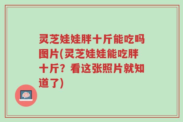 灵芝娃娃胖十斤能吃吗图片(灵芝娃娃能吃胖十斤?看这张照片就知道了)-第1张图片-超越 灵芝娃娃胖十斤能吃吗图片(灵芝娃娃能吃胖十斤?看这张照片就知道了)-第1张图片-超越