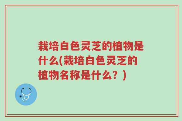 栽培白色灵芝的植物是什么(栽培白色灵芝的植物名称是什么？)-第1张图片-超越