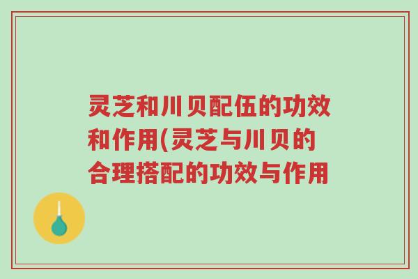 灵芝和川贝配伍的功效和作用(灵芝与川贝的合理搭配的功效与作用-第1张图片-超越 灵芝和川贝配伍的功效和作用(灵芝与川贝的合理搭配的功效与作用-第1张图片-超越