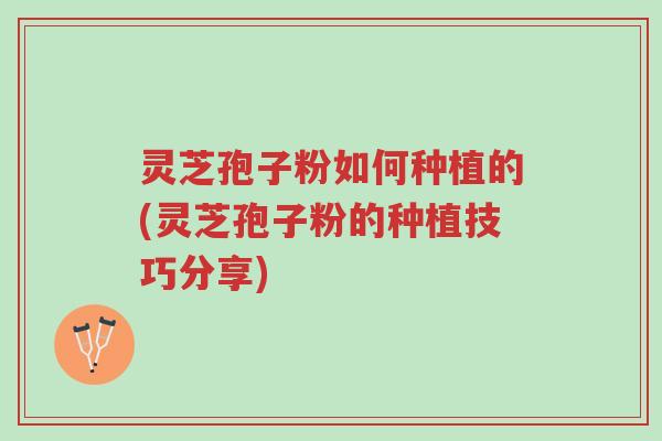 灵芝孢子粉如何种植的(灵芝孢子粉的种植技巧分享)-第1张图片-超越 灵芝孢子粉如何种植的(灵芝孢子粉的种植技巧分享)-第1张图片-超越