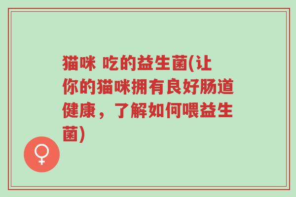 猫咪 吃的益生菌(让你的猫咪拥有良好肠道健康,了解如何喂益生菌)-第1张图片-超越 猫咪 吃的益生菌(让你的猫咪拥有良好肠道健康,了解如何喂益生菌)-第1张图片-超越
