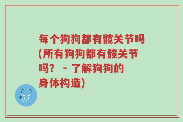 每个狗狗都有髋关节吗(所有狗狗都有髋关节吗? - 了解狗狗的身体构造)-第1张图片-超越 每个狗狗都有髋关节吗(所有狗狗都有髋关节吗? - 了解狗狗的身体构造)-第1张图片-超越