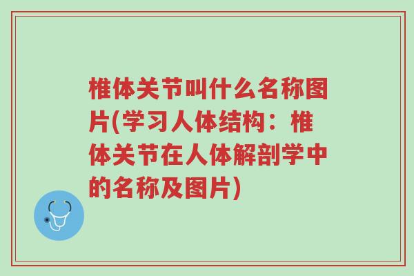 椎体关节叫什么名称图片(学习人体结构:椎体关节在人体解剖学中的名称及图片)-第1张图片-超越 椎体关节叫什么名称图片(学习人体结构:椎体关节在人体解剖学中的名称及图片)-第1张图片-超越