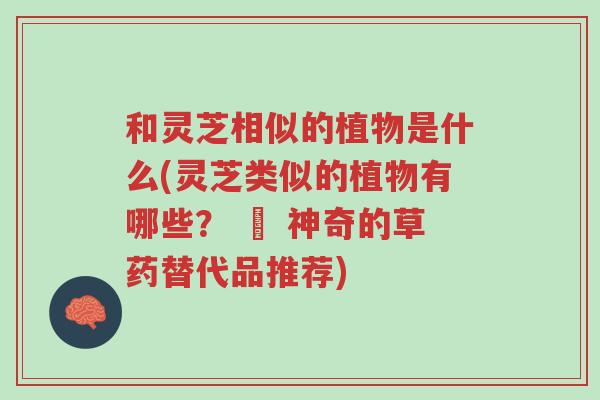和灵芝相似的植物是什么(灵芝类似的植物有哪些? – 神奇的草药替代品推荐)-第1张图片-超越 和灵芝相似的植物是什么(灵芝类似的植物有哪些? – 神奇的草药替代品推荐)-第1张图片-超越