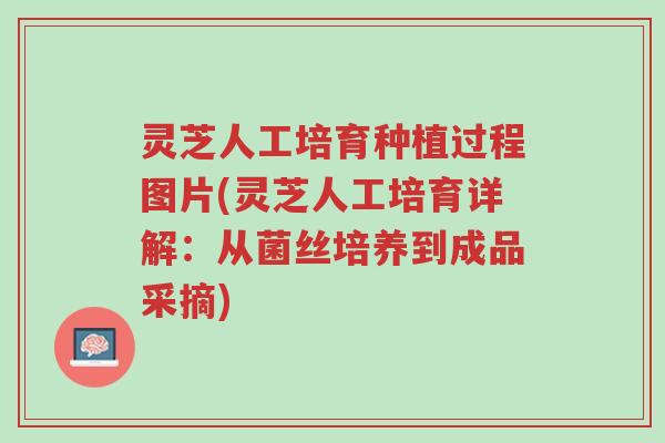 灵芝人工培育种植过程图片(灵芝人工培育详解：从菌丝培养到成品采摘)-第1张图片-超越