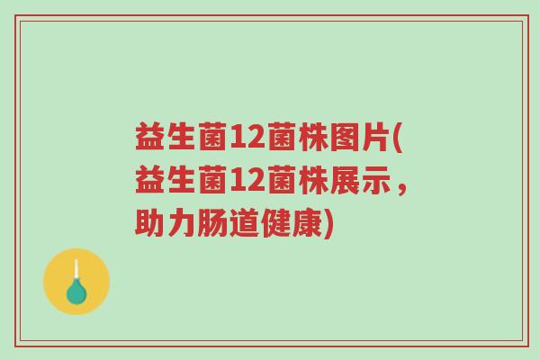 益生菌12菌株图片(益生菌12菌株展示,助力肠道健康)-第1张图片-超越 益生菌12菌株图片(益生菌12菌株展示,助力肠道健康)-第1张图片-超越