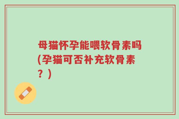 母猫怀孕能喂软骨素吗(孕猫可否补充软骨素?)-第1张图片-超越 母猫怀孕能喂软骨素吗(孕猫可否补充软骨素?)-第1张图片-超越
