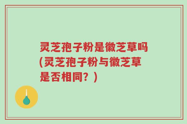 灵芝孢子粉是徽芝草吗(灵芝孢子粉与徽芝草是否相同?)-第1张图片-超越 灵芝孢子粉是徽芝草吗(灵芝孢子粉与徽芝草是否相同?)-第1张图片-超越