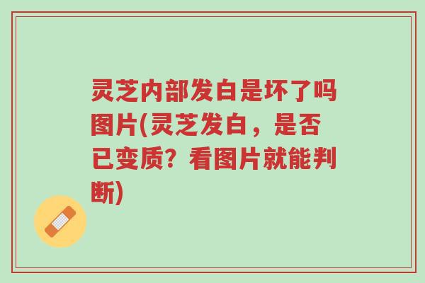 灵芝内部发白是坏了吗图片(灵芝发白,是否已变质?看图片就能判断)-第1张图片-超越 灵芝内部发白是坏了吗图片(灵芝发白,是否已变质?看图片就能判断)-第1张图片-超越